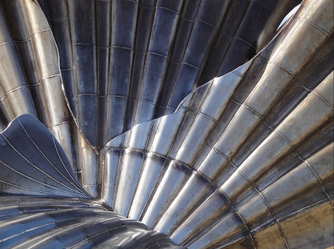 marine-image